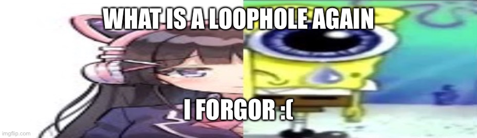 lol | WHAT IS A LOOPHOLE AGAIN; I FORGOR :( | image tagged in lol | made w/ Imgflip meme maker