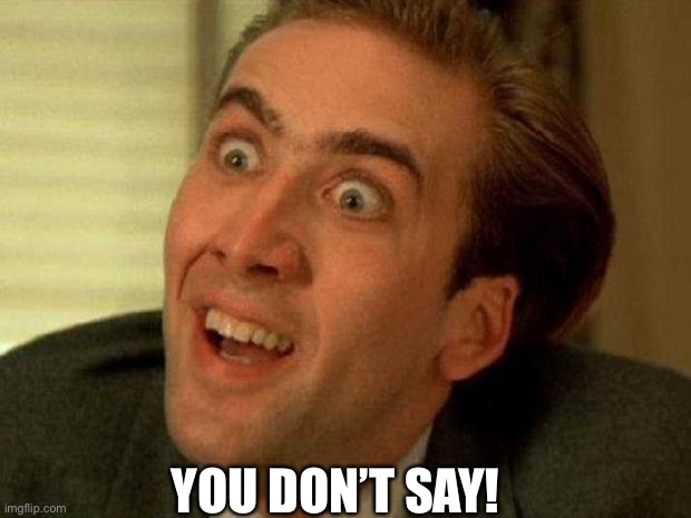 Nicholas Cage is watching you | YOU DON’T SAY! | image tagged in nicholas cage is watching you | made w/ Imgflip meme maker