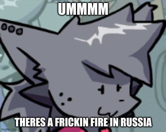 a fire | UMMMM; THERES A FRICKIN FIRE IN RUSSIA | image tagged in kapi oh f k | made w/ Imgflip meme maker