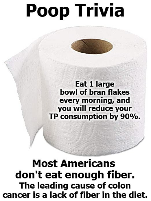 Poop Trivia: 100% True Shitpost | image tagged in shitpost,poop,pooping,poopy pants,oh shit,no more toilet paper | made w/ Imgflip meme maker