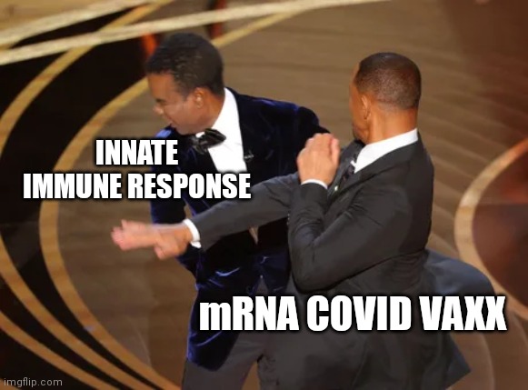 WILL SMITH BITCH SLAP CHRIS ROCK | INNATE IMMUNE RESPONSE; mRNA COVID VAXX | image tagged in will smith bitch slaps chris,coronavirus,covid vaccine,covid-19,oscars,violence | made w/ Imgflip meme maker