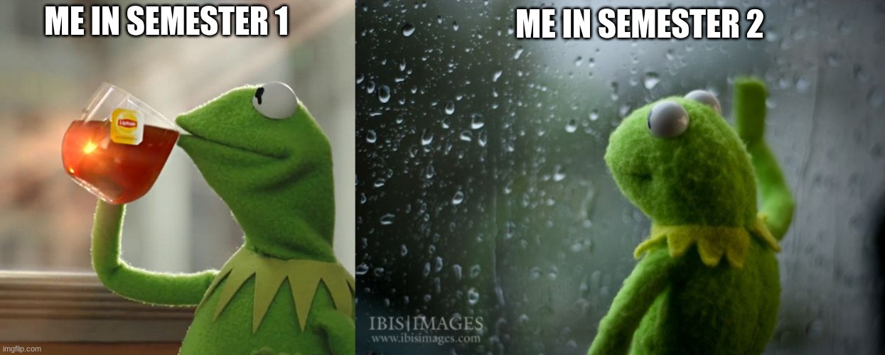 semester 1 of 9th grade was like a party, unlike semester 2 | ME IN SEMESTER 2; ME IN SEMESTER 1 | image tagged in memes,but that's none of my business,kermit window,depression,kermit the frog,school | made w/ Imgflip meme maker