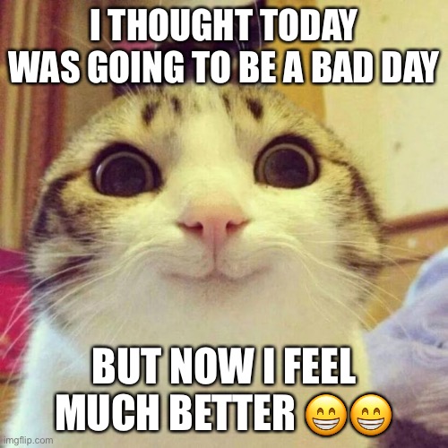 And I got to hold of my new chicks today so extra happi :DD | I THOUGHT TODAY WAS GOING TO BE A BAD DAY; BUT NOW I FEEL MUCH BETTER 😁😁 | image tagged in memes,smiling cat | made w/ Imgflip meme maker