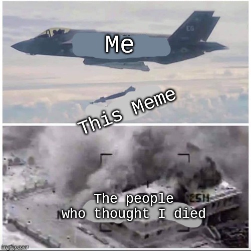 I'm back I think | Me; This Meme; The people who thought I died | image tagged in airplane bomber,i'm back,like a heart attack,hey dallas,if you're reading this,hi | made w/ Imgflip meme maker