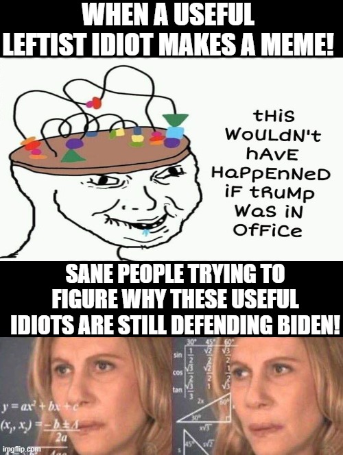 Me trying to figure out why useful idiots are still defending Biden! | WHEN A USEFUL LEFTIST IDIOT MAKES A MEME! SANE PEOPLE TRYING TO FIGURE WHY THESE USEFUL IDIOTS ARE STILL DEFENDING BIDEN! | image tagged in morons,idiots,stupid liberals | made w/ Imgflip meme maker