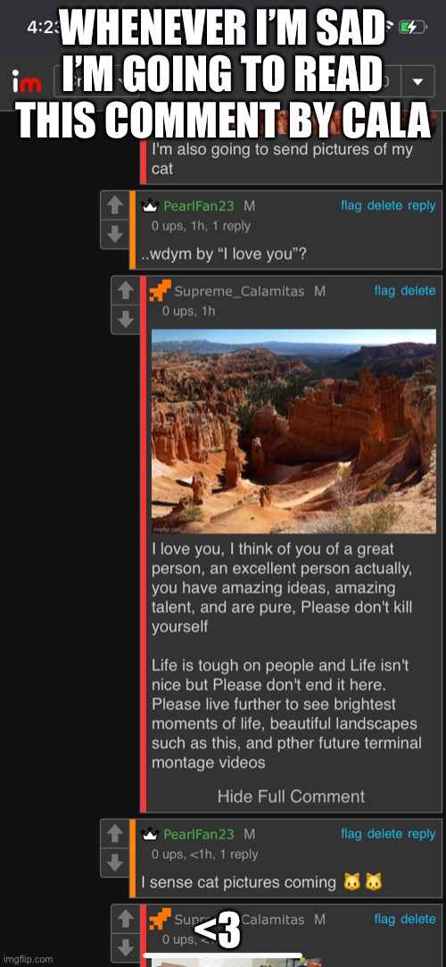:) | WHENEVER I’M SAD I’M GOING TO READ THIS COMMENT BY CALA; <3 | made w/ Imgflip meme maker