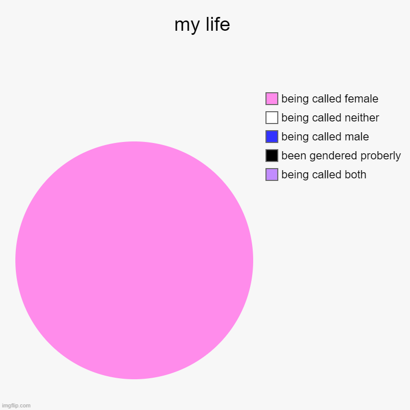 my life | being called both, been gendered proberly, being called male, being called neither, being called female | image tagged in charts,pie charts | made w/ Imgflip chart maker