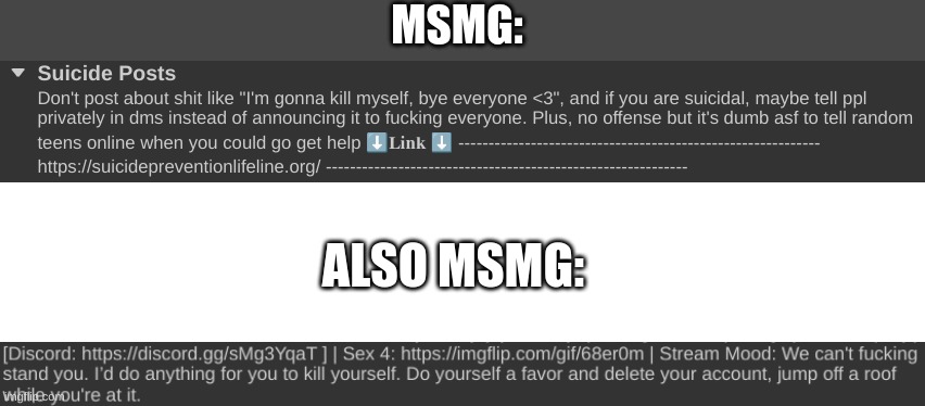 the irony is scary | MSMG:; ALSO MSMG: | image tagged in blank white template | made w/ Imgflip meme maker