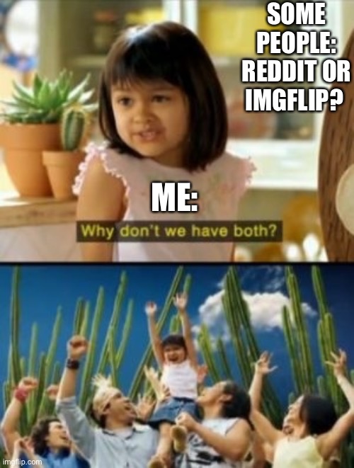 Why do some people say that? |  SOME PEOPLE: REDDIT OR IMGFLIP? ME: | image tagged in memes,why not both,reddit,imgflip,why not tho | made w/ Imgflip meme maker