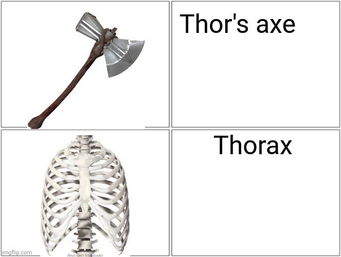 ba dum tss | Thor's axe; Thorax | image tagged in memes,blank comic panel 2x2,bones | made w/ Imgflip meme maker