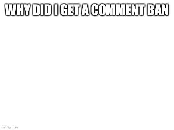 Blank White Template | WHY DID I GET A COMMENT BAN | image tagged in blank white template | made w/ Imgflip meme maker