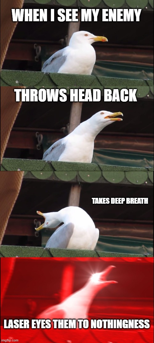 seegull | WHEN I SEE MY ENEMY; THROWS HEAD BACK; TAKES DEEP BREATH; LASER EYES THEM TO NOTHINGNESS | image tagged in memes,inhaling seagull | made w/ Imgflip meme maker