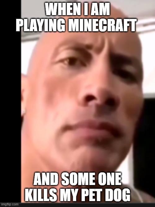 minecraft |  WHEN I AM PLAYING MINECRAFT; AND SOME ONE KILLS MY PET DOG | image tagged in the rock,minecraft | made w/ Imgflip meme maker