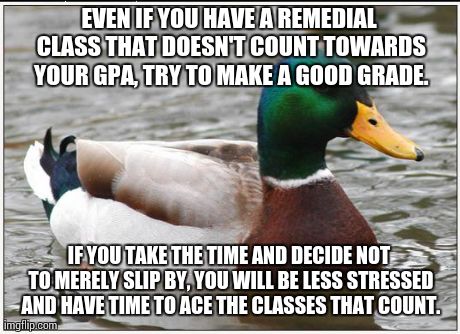Actual Advice Mallard Meme | EVEN IF YOU HAVE A REMEDIAL CLASS THAT DOESN'T COUNT TOWARDS YOUR GPA, TRY TO MAKE A GOOD GRADE. IF YOU TAKE THE TIME AND DECIDE NOT TO MERE | image tagged in memes,actual advice mallard | made w/ Imgflip meme maker