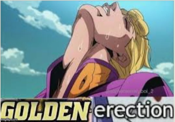 golden erection | image tagged in golden erection | made w/ Imgflip meme maker