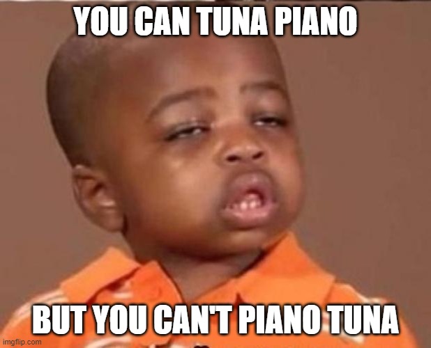 stoned boy | YOU CAN TUNA PIANO; BUT YOU CAN'T PIANO TUNA | image tagged in stoned boy | made w/ Imgflip meme maker