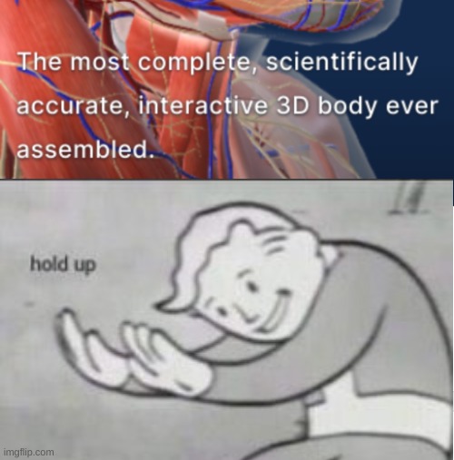 [insert decent title] | image tagged in fallout hold up,dark humor,body | made w/ Imgflip meme maker