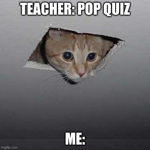 Ceiling Cat Meme | TEACHER: POP QUIZ; ME: | image tagged in memes,ceiling cat,fun,cat memes | made w/ Imgflip meme maker