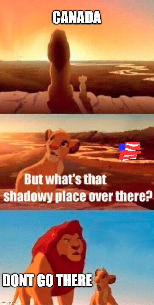 Simba Shadowy Place Meme | CANADA; DONT GO THERE | image tagged in memes,simba shadowy place | made w/ Imgflip meme maker