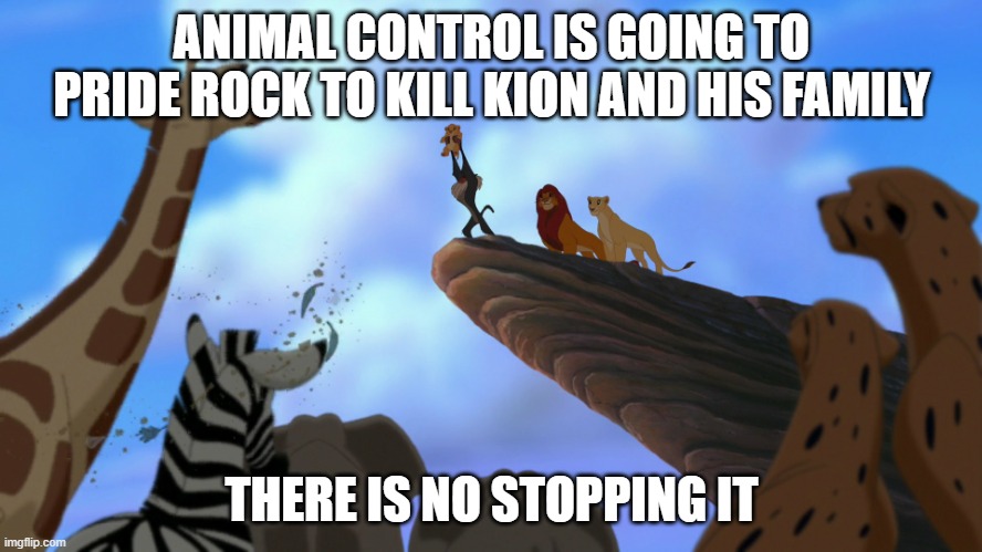 lion king | ANIMAL CONTROL IS GOING TO PRIDE ROCK TO KILL KION AND HIS FAMILY; THERE IS NO STOPPING IT | image tagged in lion king,memes,animal control,president_joe_biden,the lion guard,tag | made w/ Imgflip meme maker