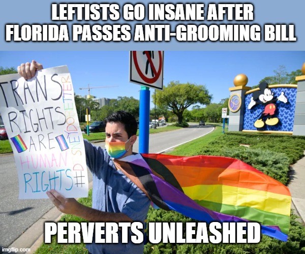 LEFTISTS GO INSANE AFTER FLORIDA PASSES ANTI-GROOMING BILL; PERVERTS UNLEASHED | made w/ Imgflip meme maker