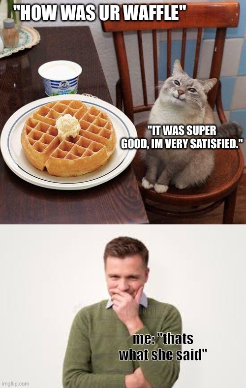 "HOW WAS UR WAFFLE"; "IT WAS SUPER GOOD, IM VERY SATISFIED."; me: "thats what she said" | image tagged in pancake cat | made w/ Imgflip meme maker