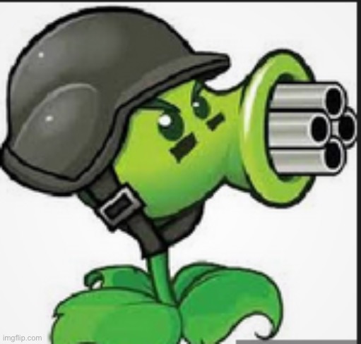 gatling peashooter | image tagged in gatling peashooter | made w/ Imgflip meme maker