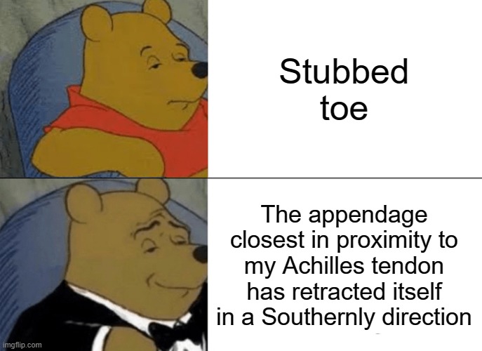 ouch | Stubbed toe; The appendage closest in proximity to my Achilles tendon has retracted itself in a Southernly direction | image tagged in memes,tuxedo winnie the pooh,funny,toe,relatable,relatable memes | made w/ Imgflip meme maker