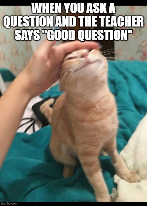 tru | WHEN YOU ASK A QUESTION AND THE TEACHER SAYS "GOOD QUESTION" | image tagged in cat getting pets | made w/ Imgflip meme maker