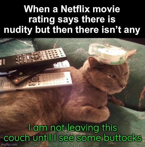 When a Netflix movie rating says there is nudity but then there isn’t any I am not leaving this couch until I see some buttocks | made w/ Imgflip meme maker