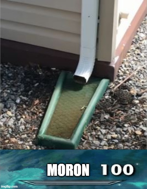 Rain on Me | MORON | image tagged in you had one job | made w/ Imgflip meme maker