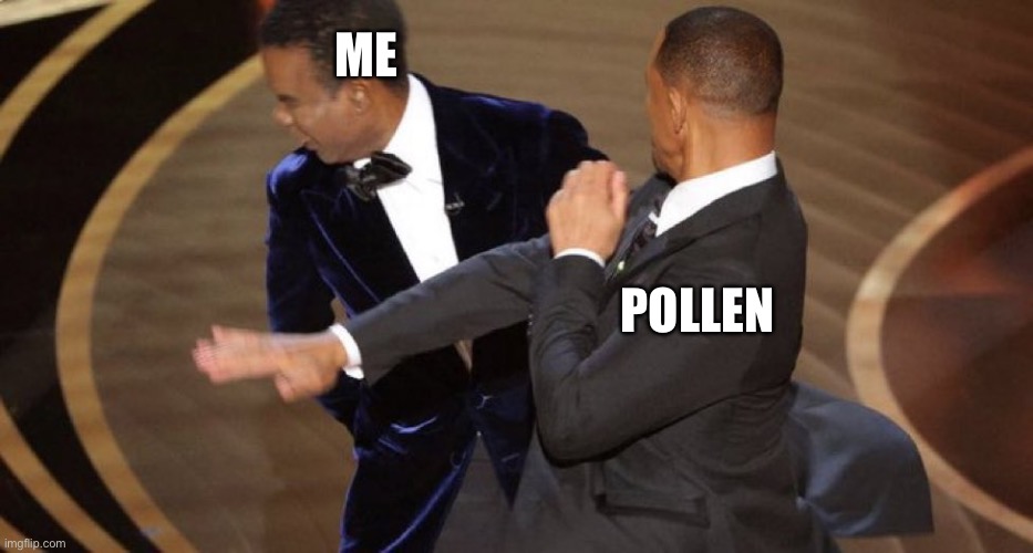 Pollen | ME; POLLEN | image tagged in will smith chris rock oscar s slap | made w/ Imgflip meme maker