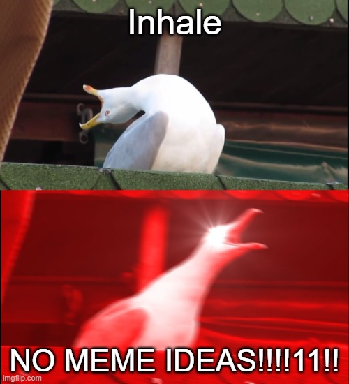 I ran out of ideas | Inhale; NO MEME IDEAS!!!!11!! | image tagged in screaming bird | made w/ Imgflip meme maker