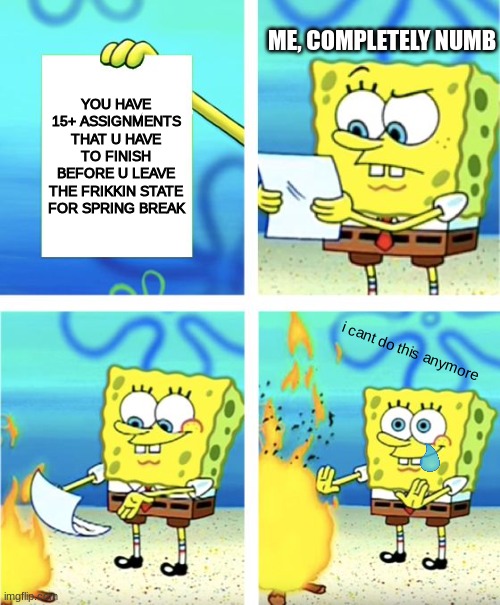 teachers, pls stop giving me so many assignments :( | ME, COMPLETELY NUMB; YOU HAVE 15+ ASSIGNMENTS THAT U HAVE TO FINISH BEFORE U LEAVE THE FRIKKIN STATE FOR SPRING BREAK; i cant do this anymore | image tagged in spongebob burning paper,school,stress,sad,help me | made w/ Imgflip meme maker