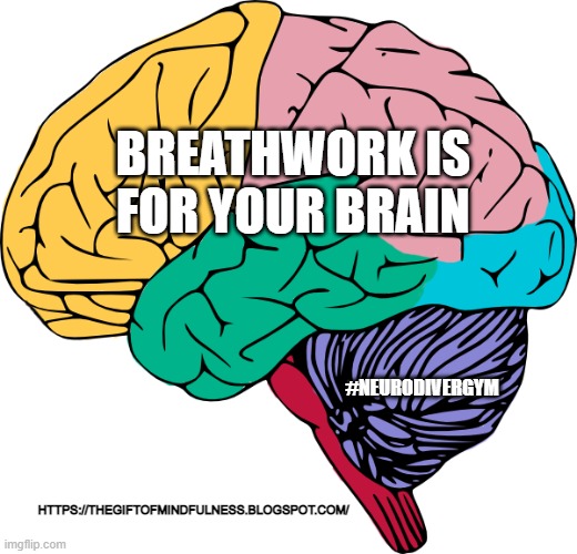 Brain Sections | BREATHWORK IS FOR YOUR BRAIN; #NEURODIVERGYM; HTTPS://THEGIFTOFMINDFULNESS.BLOGSPOT.COM/ | image tagged in brain sections | made w/ Imgflip meme maker