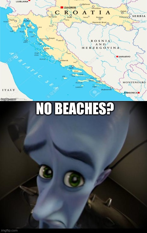 no beaches Bosnia? | NO BEACHES? | image tagged in no bitches | made w/ Imgflip meme maker