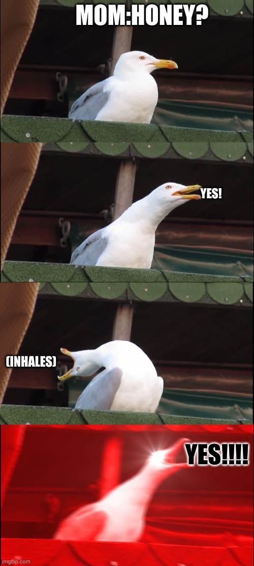 Happens Every Time! | MOM:HONEY? YES! (INHALES); YES!!!! | image tagged in memes,inhaling seagull | made w/ Imgflip meme maker