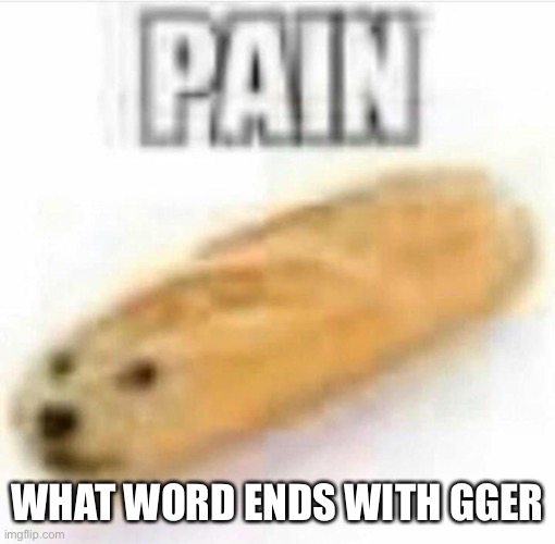 ITS NOT WHAT YOU THINK IT IS OP DONT BAN ME | WHAT WORD ENDS WITH GGER | image tagged in pain | made w/ Imgflip meme maker