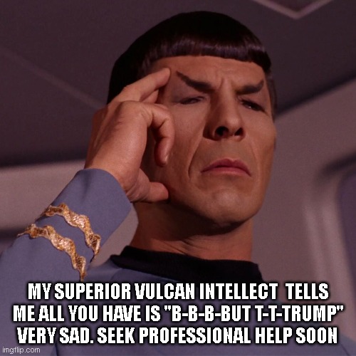 MY SUPERIOR VULCAN INTELLECT  TELLS ME ALL YOU HAVE IS "B-B-B-BUT T-T-TRUMP"
VERY SAD. SEEK PROFESSIONAL HELP SOON | made w/ Imgflip meme maker