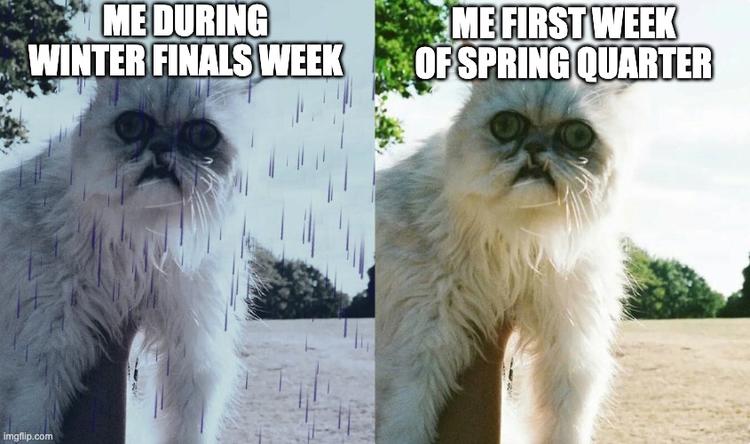 It's rough out here | ME FIRST WEEK OF SPRING QUARTER; ME DURING WINTER FINALS WEEK | image tagged in spring break,college,funny,memes,cat | made w/ Imgflip meme maker