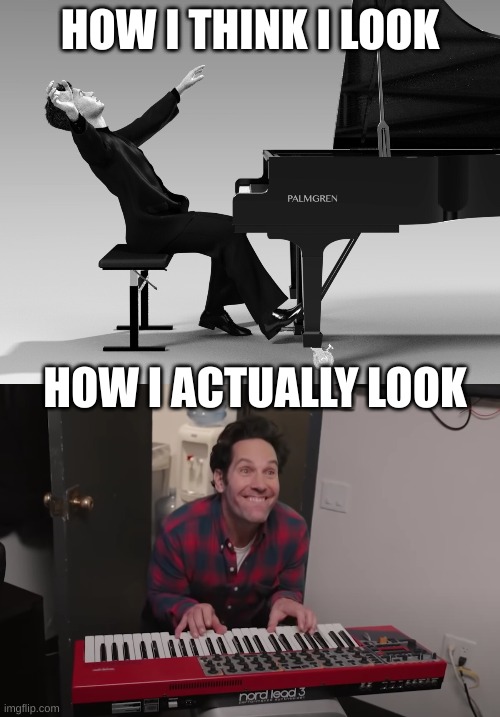 The Piano Pose | HOW I THINK I LOOK; HOW I ACTUALLY LOOK | image tagged in piano | made w/ Imgflip meme maker