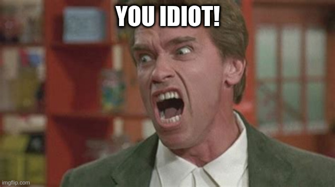 YOU IDIOT! | image tagged in idiot,arnold,fun,joke | made w/ Imgflip meme maker