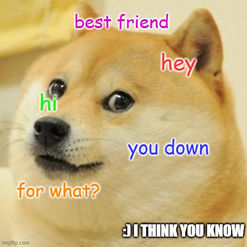 Doge | best friend; hey; hi; you down; for what? :) I THINK YOU KNOW | image tagged in memes,doge | made w/ Imgflip meme maker