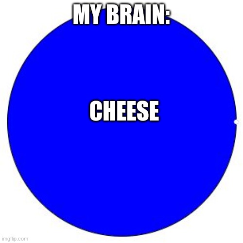 100% Pie Chart | MY BRAIN: CHEESE | image tagged in 100 pie chart | made w/ Imgflip meme maker