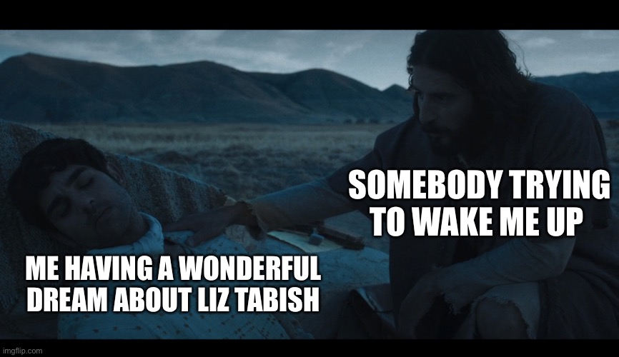 The Chosen | SOMEBODY TRYING TO WAKE ME UP; ME HAVING A WONDERFUL DREAM ABOUT LIZ TABISH | image tagged in the chosen | made w/ Imgflip meme maker