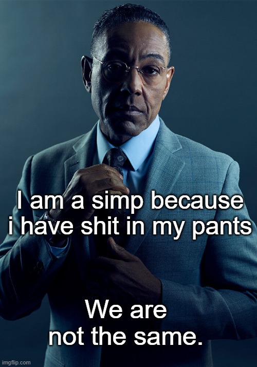 Gus Fring we are not the same | I am a simp because i have shit in my pants; We are not the same. | image tagged in gus fring we are not the same | made w/ Imgflip meme maker