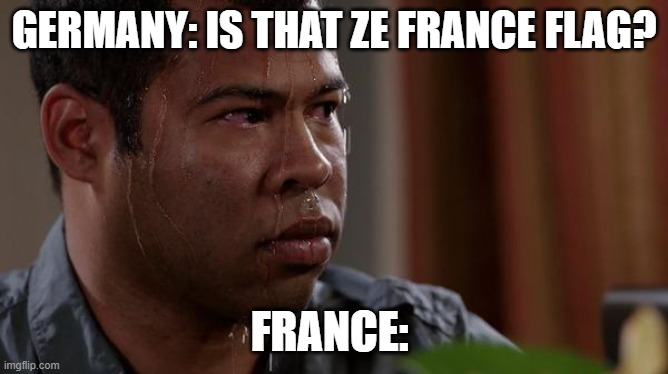 GERMANY: IS THAT ZE FRANCE FLAG? FRANCE: | image tagged in sweating bullets | made w/ Imgflip meme maker