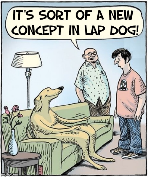 Things I don't wanna think about #74 |  IT'S SORT OF A NEW 
CONCEPT IN LAP DOG! | image tagged in vince vance,dogs,cartoons,comics,memes,humor | made w/ Imgflip meme maker