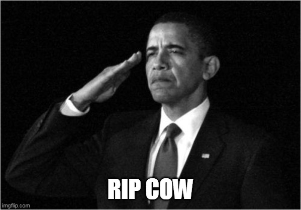 obama-salute | RIP COW | image tagged in obama-salute | made w/ Imgflip meme maker