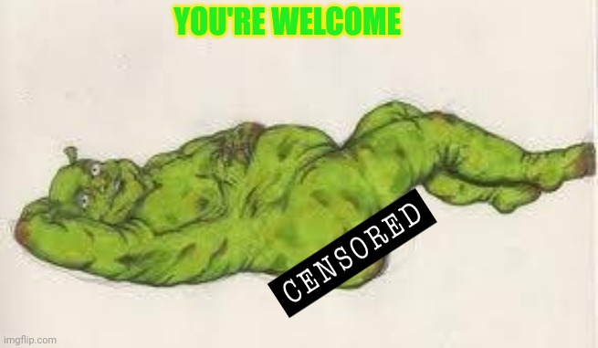 But why? Why would you do that? | YOU'RE WELCOME | image tagged in cursed image,nude,shrek,its time to stop | made w/ Imgflip meme maker